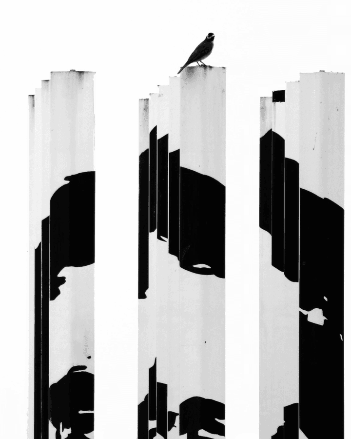 Columnas de arte moderno